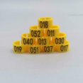 thumbnail image 3 of iherdsman 001-100 Multi-Color Bird Leg Bands Numbered 8 mm Pigeon Parrot Chicks Leg Band Duck Clip Rings Bands (Choose The Color You Want) (Red), 3 of 8