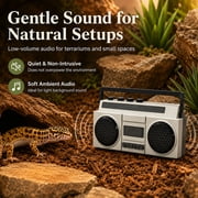 Retro Mini Boombox - Vintage Tape Player Design, Rechargeable Battery & Buttons - Novelty Music Speaker for Kids Adults