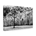 thumbnail image 2 of PHBurchett 'Water and Land VI' Canvas Art, 2 of 4
