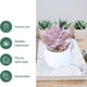 thumbnail image 4 of Laklulu decoraciones de oficina plantas en macetas con forma de plantas en macetas, 4 of 6