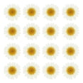 thumbnail image 1 of 48 Piezas de Flor de Margarita Seca Natural, Flor Prensada para Manualidades, Blanca, 1 of 6
