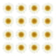 thumbnail image 1 of 48 Piezas de Flor de Margarita Seca Natural, Flor Prensada para Manualidades, Blanca, 1 of 6