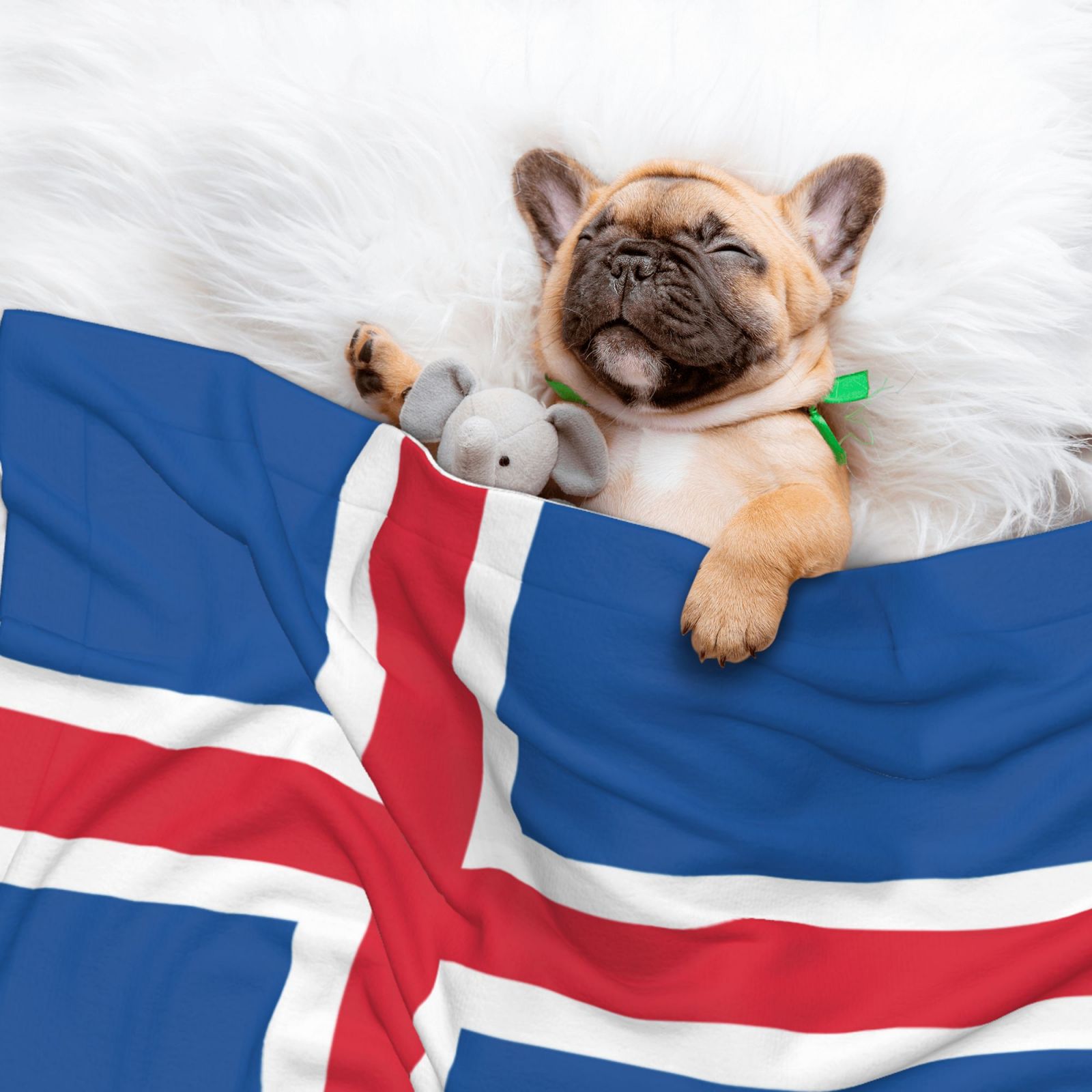 Flannel Throw Dog Blanket Iceland Flag Soft Warm Print Pet Blankets for Small Dog Cat Puppy