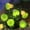 Green, variant on 20 LED Mushroom String Lights - Warm White Indoor & Outdoor Decor