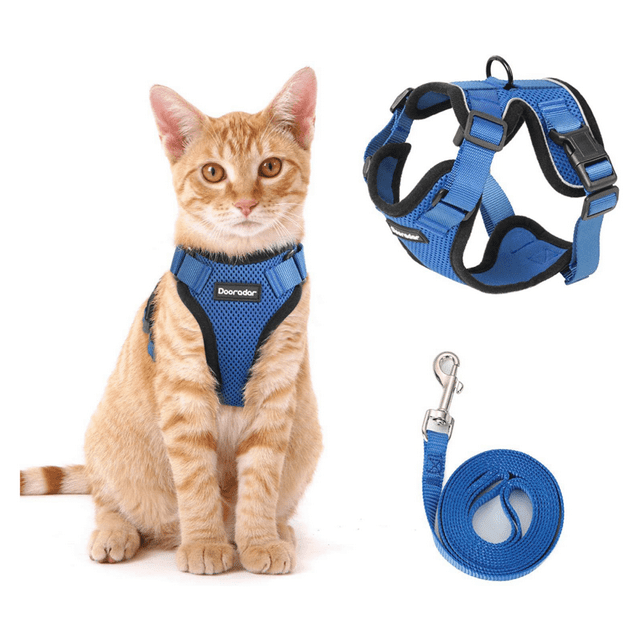 CHUANK Cat Harness Adjustable Anti-Escape Vest Reflective Design Adjustable Length Quick-Release Buckle Cat Harness and Leash 11.0-13.7inx18.0-20.0inx150cm Green