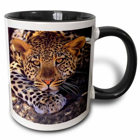 

3dRose Leopard - Two Tone Black Mug 11-ounce