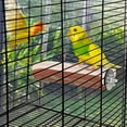 thumbnail image 4 of GHSDFBB Parrot Cage Perch, Wooden Platform for Birds, 4 of 6