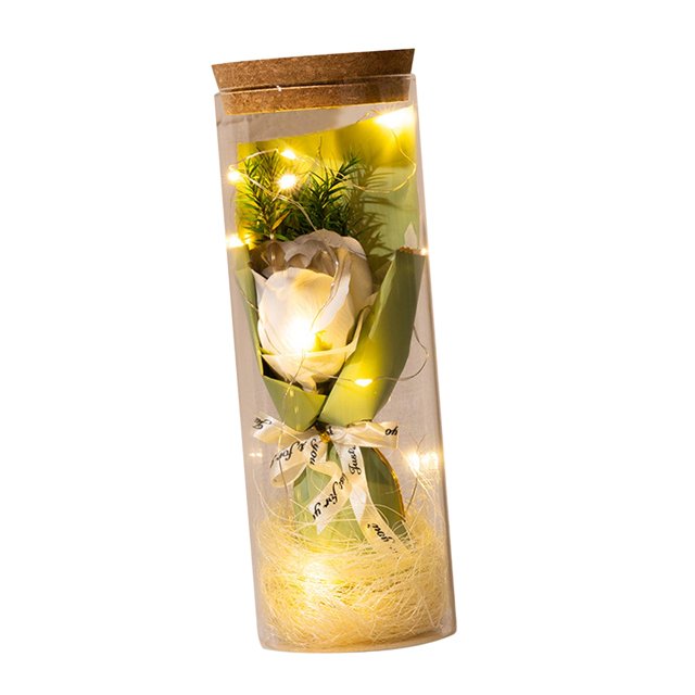 Flor preservada con cadena de luz Flor eterna para siempre Romántica Estilo C