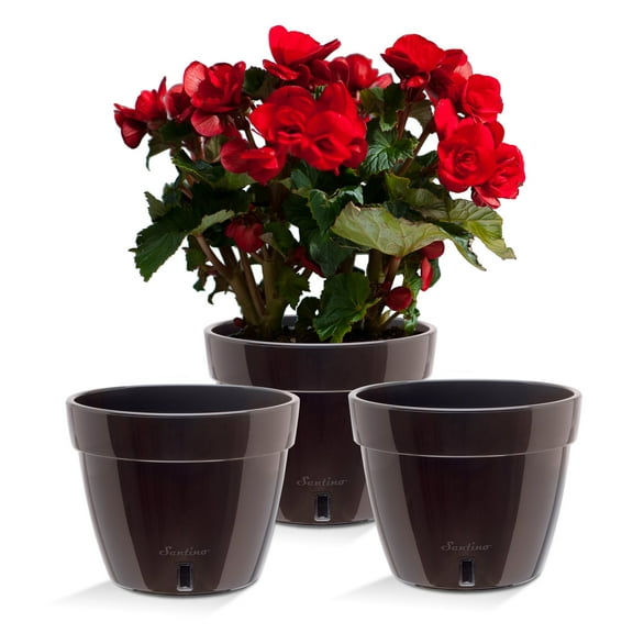 🪴 Santino ASTI 7.9 Inch Self Watering Planter BLACK-GOLD/BLACK (Set of 3) for Indoor Plants - Modern Plastic Pot w/ Water level Indicator for All House Herbs, African Violets and Dahlias