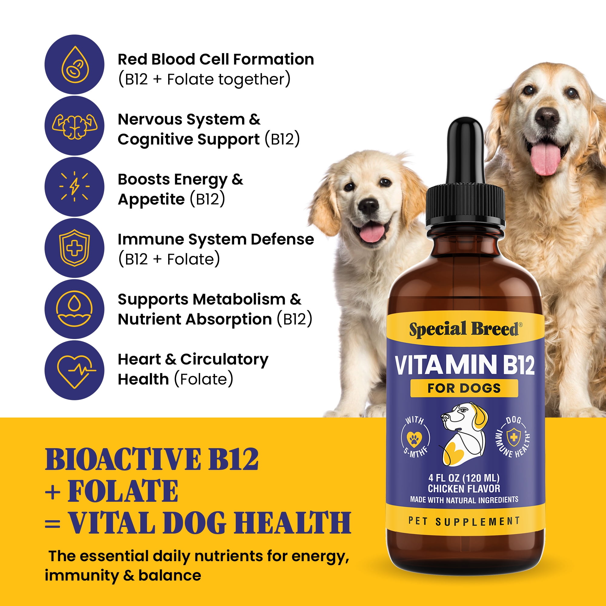 b12 injectable methylcobalamin for dogs Special Breed Liquid Vitamin – and 5-MTHF – Boosts Energy, Appetite, Mood & Immune System Support, Easy-to-Use Dropper Size:1 Fl Oz. 500mcg/mL For Cats and Dogs which some users found Vitamin Therapy Injections | healthy skin