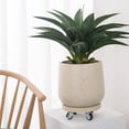 thumbnail image 3 of Palet redondo for plantas con bandejas de goteo con ruedas, plato for mover macetas de resina sintética, 3 of 4