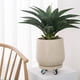 thumbnail image 3 of Palet redondo for plantas con bandejas de goteo con ruedas, plato for mover macetas de resina sintética, 3 of 4