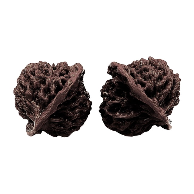 Wenwan Walnuts Chinese Walnuts Walnut And Massage Stress Care Toy For Stress