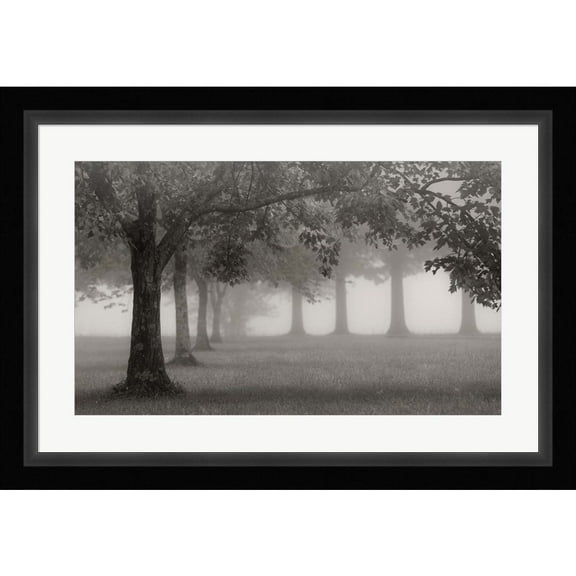 Great Art Now Trees In Early Autumn by Nicholas Bell, Framed Wall Art, 35.5W x 25H