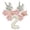 B002- Style B, variant on Pink Happy Birthday Foil Balloons Bunny Flower Balloon Set, 32 in Cream Number 3, Gender Reveal Party Decorations, Spring Party Supplies