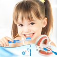 thumbnail image 2 of Kit de dentista Skylety 2 para niños con modelo de dientes dentales, 2 of 7