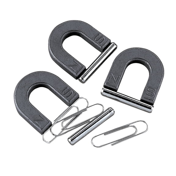 Fun Express Plastic Horseshoe Magnet with Metal Bars, 12 Total Count