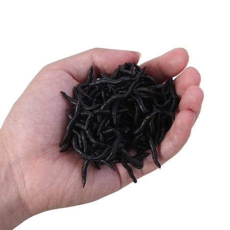 Soft Plastic Trout Worm Lure Red Earthworm 1.57 in Micro/bait (0.006 Oz) Flexible Fishing Soft Baits for Crappie Bluegill Bass Valentines Day Gift B