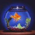 thumbnail image 4 of unbranded De Para Paisaje De Acuario Con Acabado Y, 4 of 8
