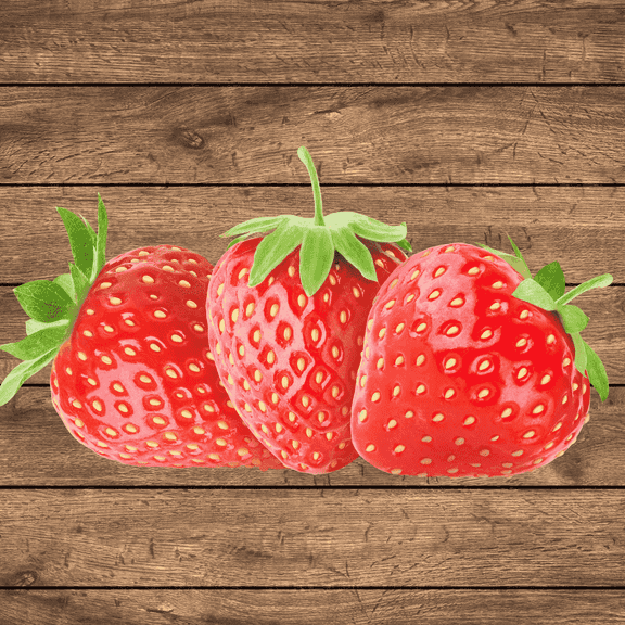 Darselect Strawberry Roots – Bare Root Plants | Large, Sweet June-Bearing Variety | European Favorite | Non-GMO, Cold Hardy, High Yield