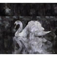 thumbnail image 3 of Wiley, Marta 16x15 Black Modern Framed Museum Art Print Titled - Swan II, 3 of 5