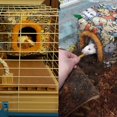 thumbnail image 5 of Cálida cama para hámster y conejillo de indias, casa para erizos, casa de felpa, nido para pájaros, hamaca colgante en invierno para evitar que los animales pequeños entren en cuevas, 20*20*20cm Sincero Electrónica, 5 of 5