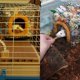 thumbnail image 5 of Cálida cama para hámster y conejillo de indias, casa para erizos, casa de felpa, nido para pájaros, hamaca colgante en invierno para evitar que los animales pequeños entren en cuevas, 20*20*20cm, 5 of 5