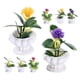 thumbnail image 2 of 8pcs Miniature Realistic Potted Bonsai Plants for Dollhouse Decor, No Watering Needed, Ideal for Miniature Landscaping and Photography Props, 2 of 4