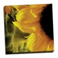 thumbnail image 2 of Gango Home Decor Contemporary Sunlit Sunflowers VII by Monika Burkhart (Ready to Hang); One 24x24in Hand-Stretched Canvas, 2 of 4