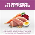 thumbnail image 3 of IAMS Proactive Health Healthy Aging Chicken & Whole Grain Recipe Dry Dog Food, 5 Lb Bags, 3 of 9
