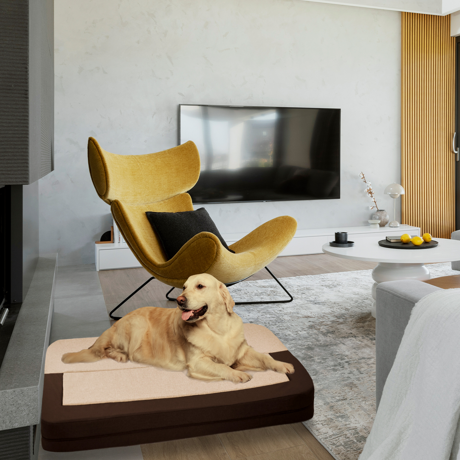 Precious Tails Orthopedic Foam Velvet Convertible Sofa Pet Mat