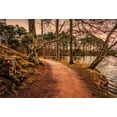 thumbnail image 2 of ABPHOTO Polyester 7x5ft Photography Backdrop Riverside Path Nature Landscape Photo Background Backdrops for Photography Photo Shoots Party Adults Kids Wedding Personal Portrait Photo Studio Props, 2 of 4