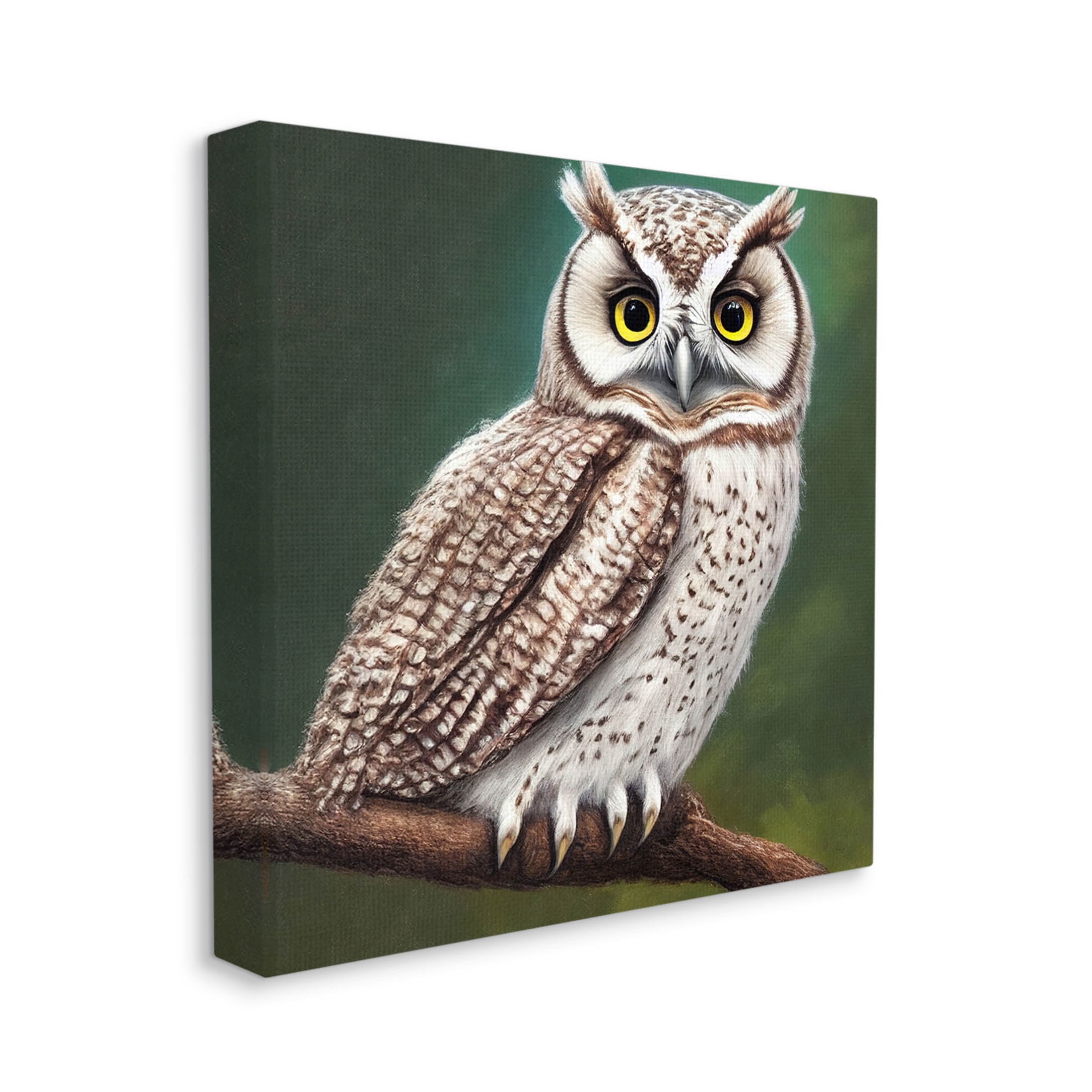 Yellow Eyed Owl Gaze Animals & Insects Painting Gallery Wrapped Canvas Print Wall Art