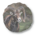 thumbnail image 1 of Sheep Forestry Science Nature Round Throw Pillow Home Decoration Cushion, 1 of 3