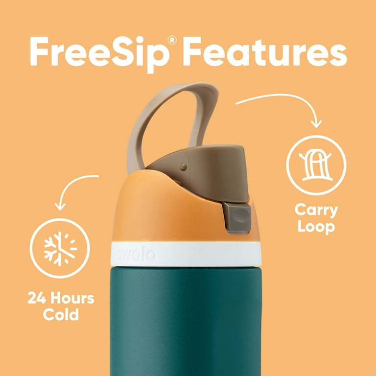 Owala FreeSip Insulated Stainless Steel Water Bottle with Straw for Sports  and Travel, BPA-Free, 24-oz, Very, Very Dark