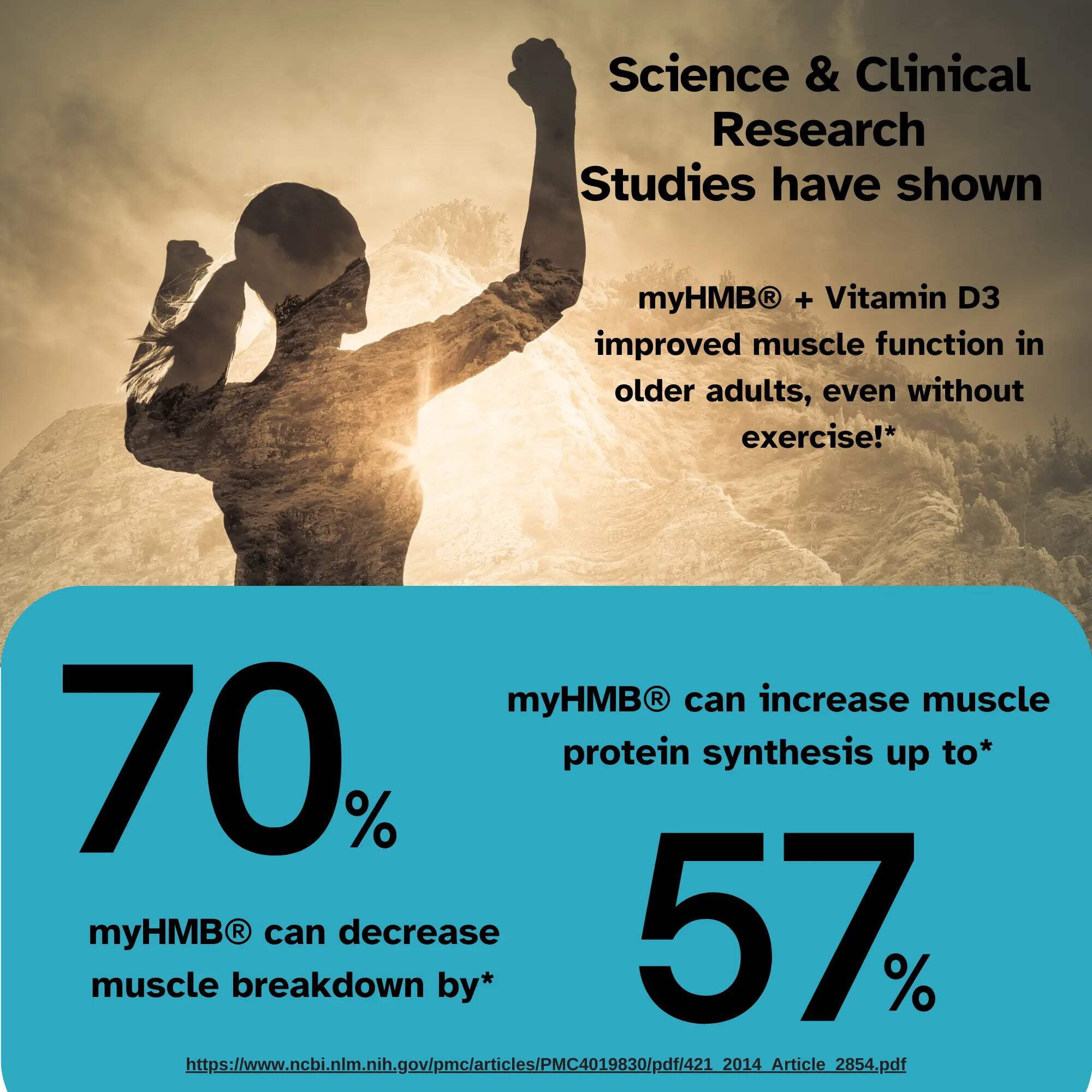 Vital Muscle Boost HMB Supplement Supports Lean Muscle and Aging