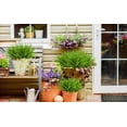 thumbnail image 7 of ZOELNIC Artificial Fake Grass, 12pcs Outdoor Faux Grasses Plastic Plants Greenery UV Resistant for Outside Home Windowbox Garden Office Patio Hanging Planter Front Porch Décor (Green), 7 of 7