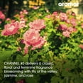 thumbnail image 3 of AROMAR Premium Fragrance Oil  - Essential Oil for Diffusers & Home Aromatherapy - Channel #5 8oz, 3 of 6
