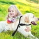 thumbnail image 5 of Collar de entrenamiento para perros, collar redondo de cuerda de nailon sin tirones, correa para perros, correa para los más pequeños (negro) TUNC Sencillez, 5 of 5
