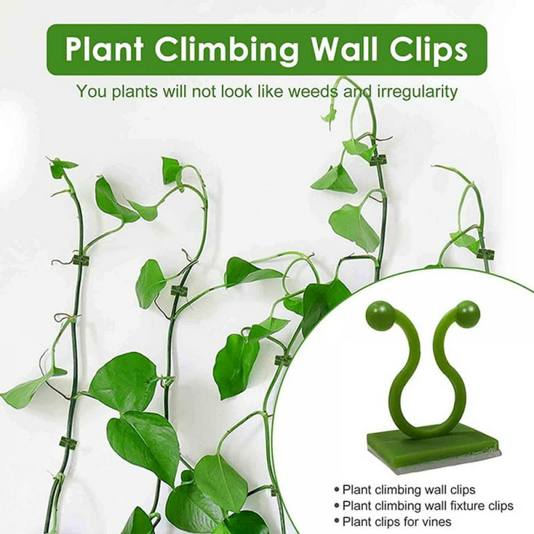 OwnGrown Plant Clips Size L: 20x Plant Support for Climbing Plants, Size L  - City Market