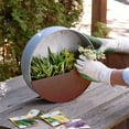 Triangular Living Wall Mounted Galvanized Steel/Zinc