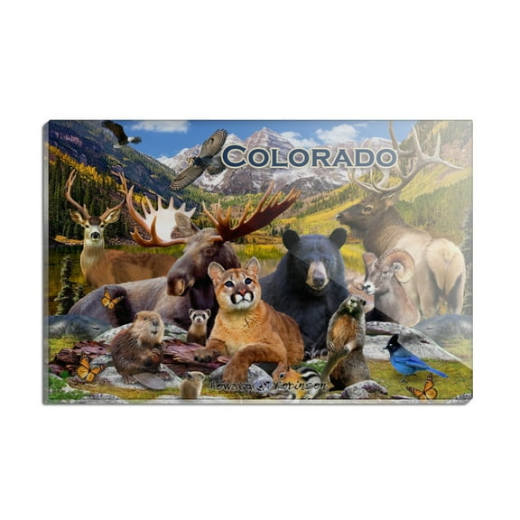 Colorado Mountains Lake Wildlife Animals Beer Moose Elk Cougar Rectangle Acrylic Fridge Refrigerator Magnet