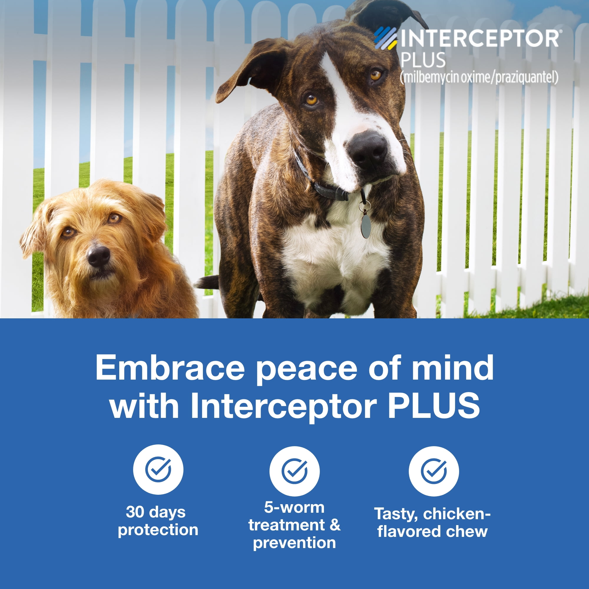Interceptor Plus Prevention for Heartworm + 4 Other Worms for Dogs 50.1-100 lbs. 6 Chews, 6-Month Supply