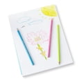 thumbnail image 5 of Pen+Gear Sharpened Colored Pencils, Assorted Colors, 24 Count, 5 of 7