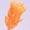 Orange, variant on Natural Dried Bunny Tail Grass Real Flower Eternal Flower Lagurus Ovatus Dry Grass Dried Flowers Pampas Grass Bouquet Rabbit Tail Grass Stems forHome Decor and Fall Theme Decorati(7"/White)