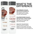 thumbnail image 6 of Celeb Luxury Amber Copper Brown Gem Lites Professional Hair Coloring Tool Kit, 6 of 9