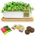thumbnail image 1 of Kit de cultivo de microgreens ZESTIGREENS con maceta de cerámica, 1 of 7