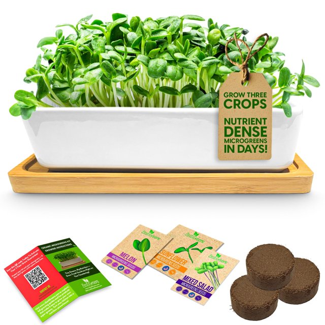 Kit de cultivo de microgreens ZESTIGREENS con maceta de cerámica