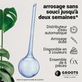 thumbnail image 4 of 6Pcs Keep Your Plants Hydrated with Watering Bulbs, 4 of 5