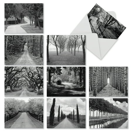 M3313 Tree Lines: 10 Assorted Blank Note Cards with Envelopes, The Best Card